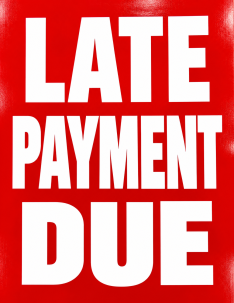 PAYMENT DUE